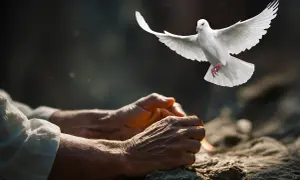 Biały gołąb wzbija się nad złożonymi dłońmi, symbolizując nadzieję i pokój, jak w psalm 34 tekst.