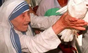 Matka Teresa z Kalkuty, otoczona ludźmi, trzyma gołębia. Wokół niej rozchodzą się plotki i zarzuty, ale ona wciąż emanuje spokojem.