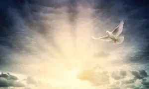 Biały gołąb symbolizujący dary Ducha Świętego wzbija się w niebo, przebijając się przez burzowe chmury ku światłu.