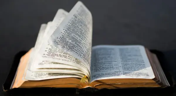 Otwarta Biblia, której strony wirują, ukazując tekst. Syn sema, jakby szukający odpowiedzi w słowach.