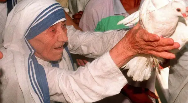 Matka Teresa z Kalkuty, otoczona ludźmi, trzyma gołębia. Wokół niej rozchodzą się plotki i zarzuty, ale ona wciąż emanuje spokojem.