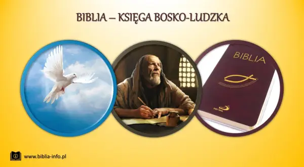Gołąb symbolizuje Ducha Świętego, który natchnął pisarzy Pisma Świętego. Obraz przedstawia, kto napisał pismo święte.