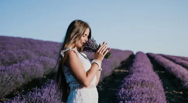 Kobieta w białej sukience wącha bukiet lawendy na polu, jakby słuchała słów z psalm 147.