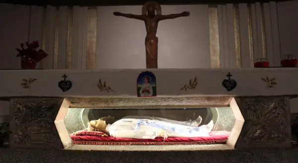 Relikwie najmłodszego świętego spoczywają w szklanej gablocie. Nad nimi drewniany krzyż i wizerunek Matki Bożej.