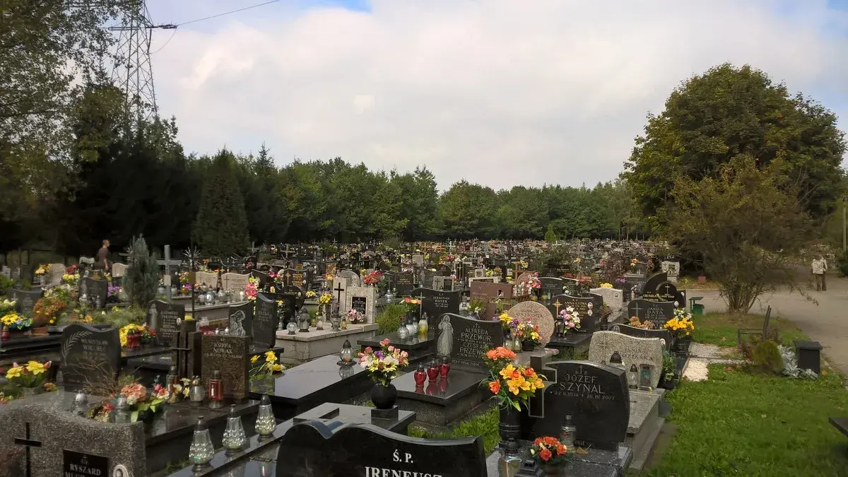 Jak dojechać na cmentarz Salwator w Krakowie - uniknij korków w Święto Zmarłych