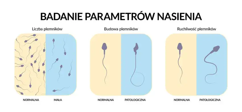 Zdjęcie Czy badanie nasienia to grzech? Moralne dylematy w katolicyzmie