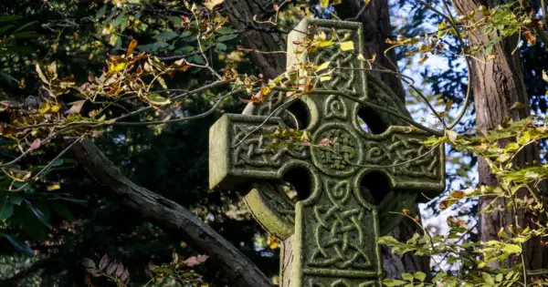 Kamienny krzyż celtycki z misternymi wzorami, otoczony jesiennymi liśćmi i gałęziami drzew.