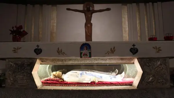 Relikwie najmłodszego świętego spoczywają w szklanej gablocie. Nad nimi drewniany krzyż i wizerunek Matki Bożej.
